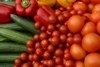 healthy-web