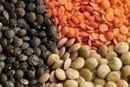 lentils