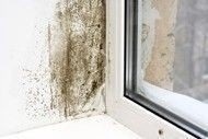 mold_on_window