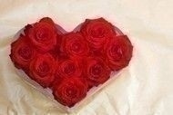 Valentines_Day_Roses