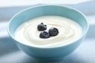 yogurt_probiotic