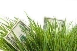 economic_growth_cash_grass