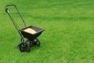 seed_lawn