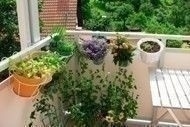 small_space_garden