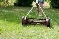 reel_mower