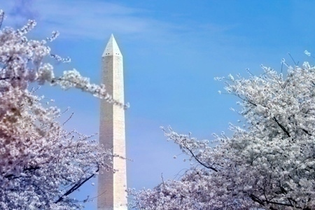 Washington_monument_spring