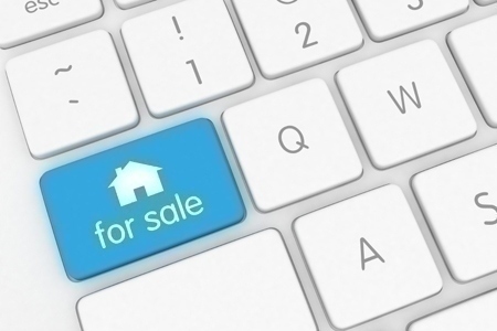 online_real_estate_lead(2)