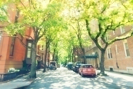 urban_trees