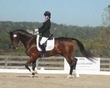 Engel & Völkers Buckhead Atlanta Sponsors British Rider and Horse at Chatt Hills