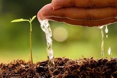 Business Planning—Getting It Done