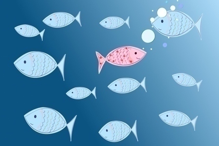 Fannie Mae and Freddie Mac Swim Against the Tide with 3 Percent-Down Loans