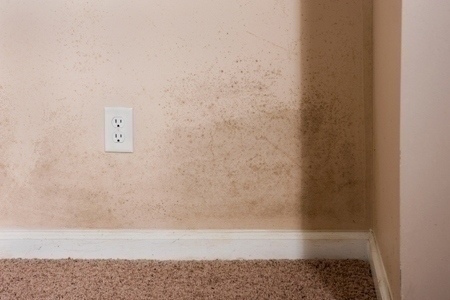 Your Place: Dealing with Dampness in the Basement