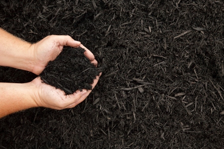 Living Smart: Mulch Madness and Basic Buying Tips