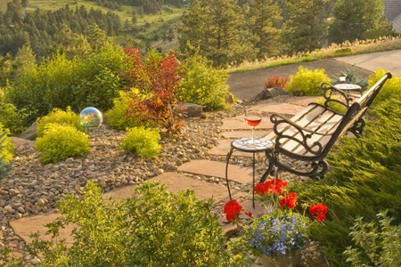 4 Easy Ways to Xeriscape Your Yard