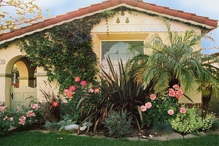 Plant Species That Will Spruce Up Your Turf This Summer