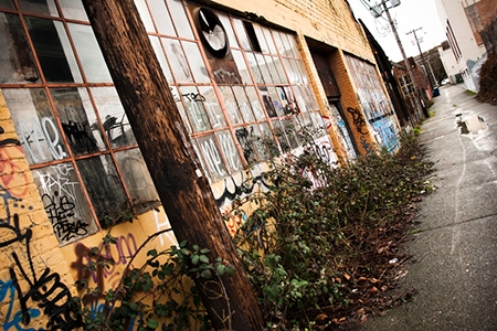 Blight Knows No Bounds in New Economy