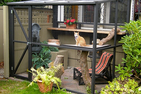 Catio Spaces – A Patio for Your Cat