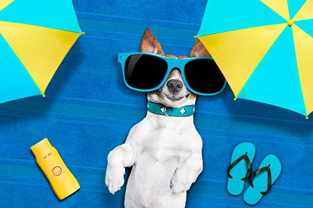 Reader Rewards: Sit Back, Relax and Enter for Your Chance to Win