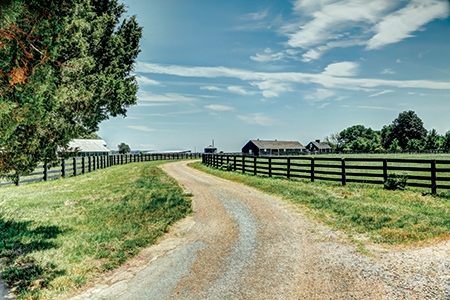 historic_estate_plantation