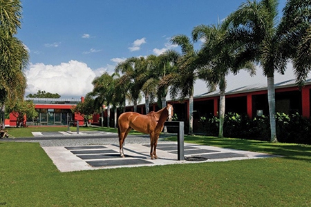 Tommy_Lee_Jones_Ranch