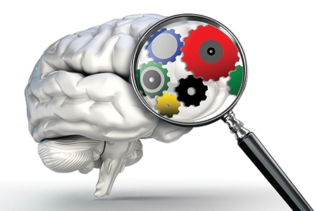 cog wheels word on magnifying glass and human brain