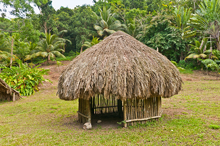 From Huts to Cities: How Changes in Dwellings Impact Human Immune System