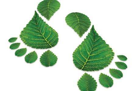 Ask the Expert: How Can Homeowners Lower Their Carbon Footprint?