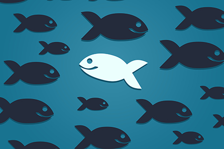 Rising Stars: Swimming against the Tide Pays Off