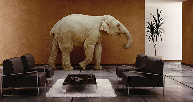 The Elephant in the Room: Five Tips for Working with Unrealistic Sellers