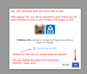 Facebook Confirm ACE Can Post