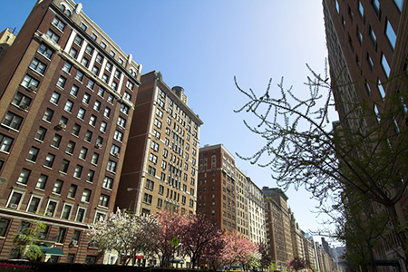 Expert Insights: What Are Co-Ops?