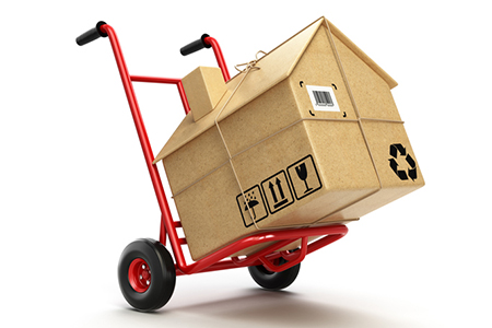 Housing Activity Not Frozen in January