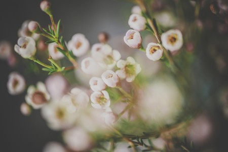 How to Spruce up Your Yard this Spring with the Right Grass Seed