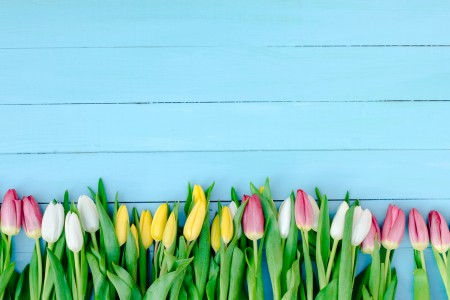 Spring Prep: How to Make Your Yard Look Lush All Summer