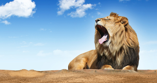 In Like a Lion: Spring Gets Roaring Start With High Values, Low Supply