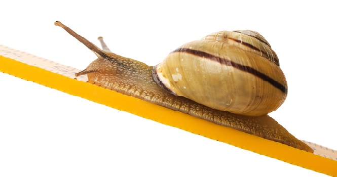 Rent Growth Crawls, but Costs Still High