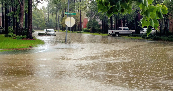 ‘We Are One Family’: Real Estate Community Bands Together for Harvey Relief