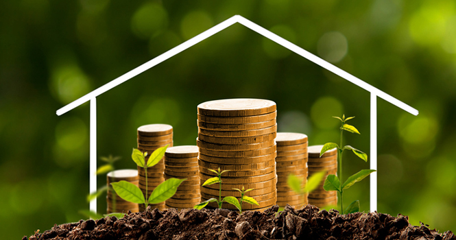 Obtaining Financial Freedom Through Real Estate