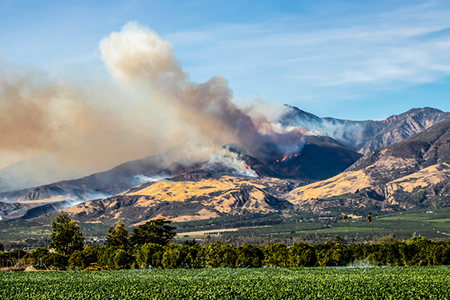California Real Estate Professional Among Mudslide Victims