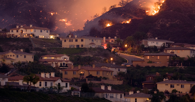 Disaster Protocol: Is Your Company Prepared for the Worst?