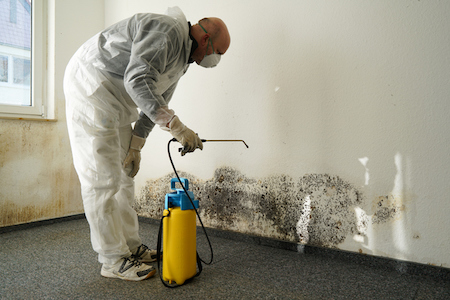 Removing Mold to Get Market Ready