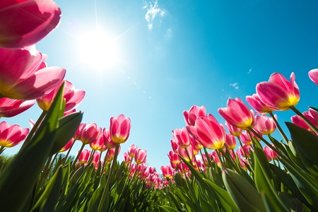 5 Ways to Prep Your Space for Spring