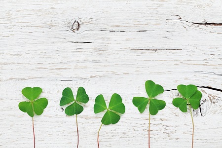 5 Ways to Green Your Home for St. Paddy’s
