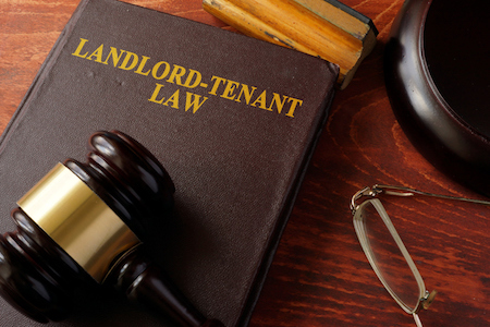 Questions to Expect from a Landlord