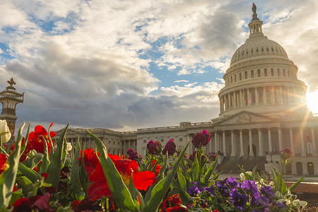 Visit Booth No. 1707 at the REALTORS® Expo