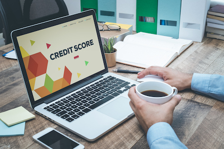 A Background on Credit Scoring Models
