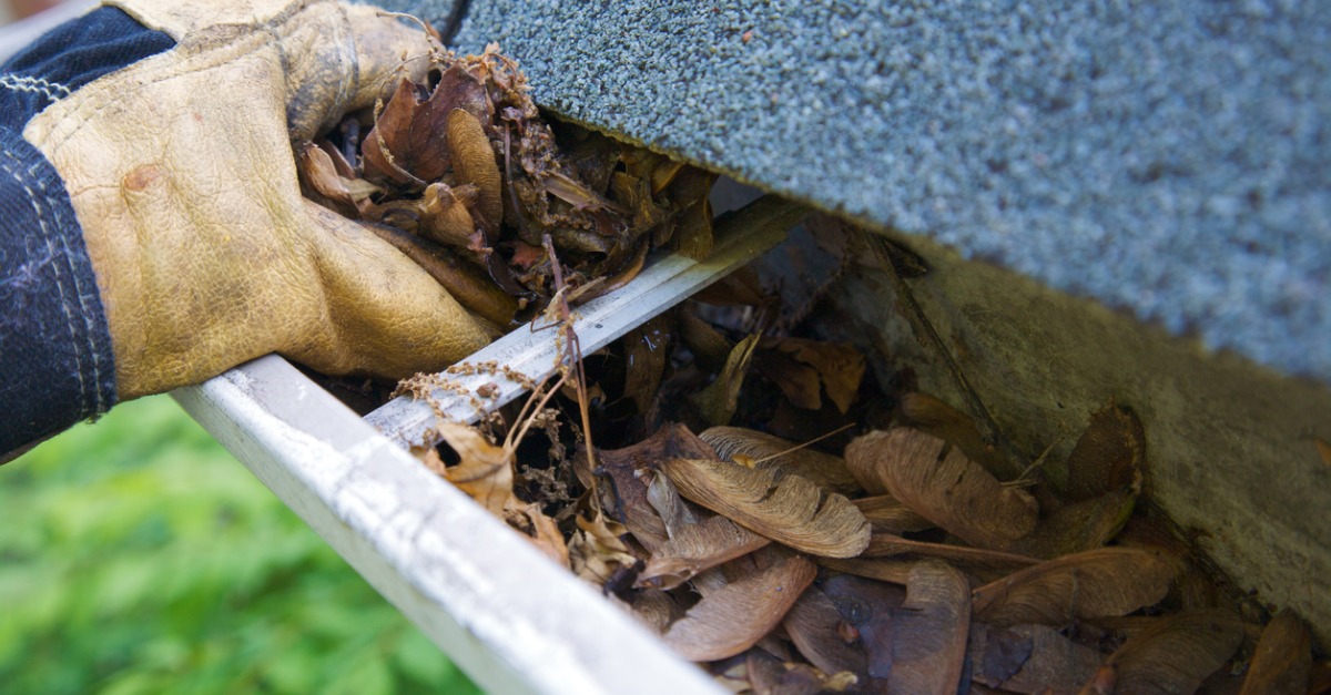 Gutter Maintenance for a Smooth Sale