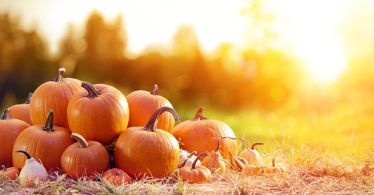 4 Pumpkin Ideas (That Don’t Involve Pie)