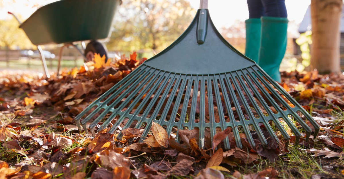 Rake Those Leaves for a Faster Sale