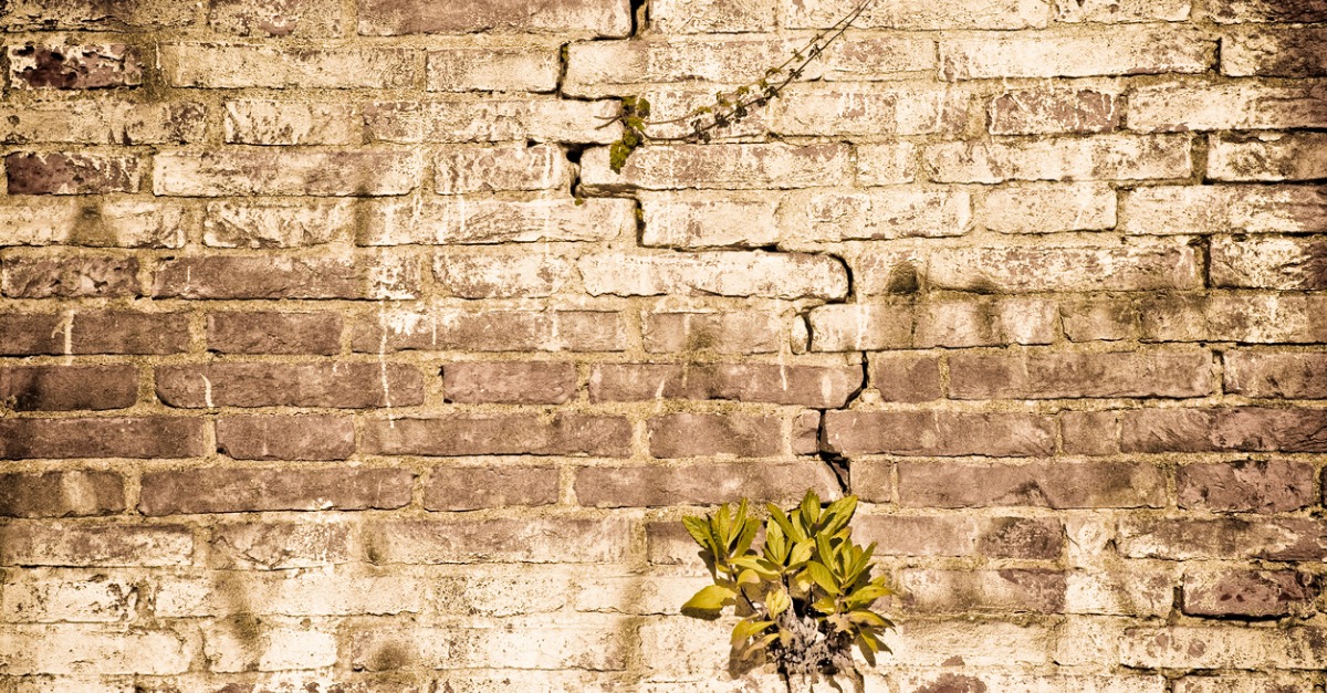 4 Red Flags to Look for When Buying a Home